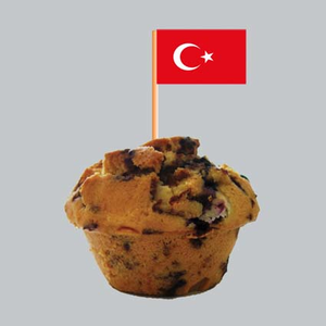 Verkostungspicker Türkei
