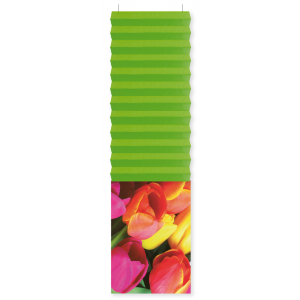 Banner Tulpen