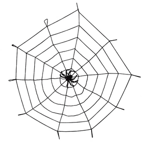 Riesenspinnennetz mit Spinne