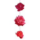 Rosenblütenkette